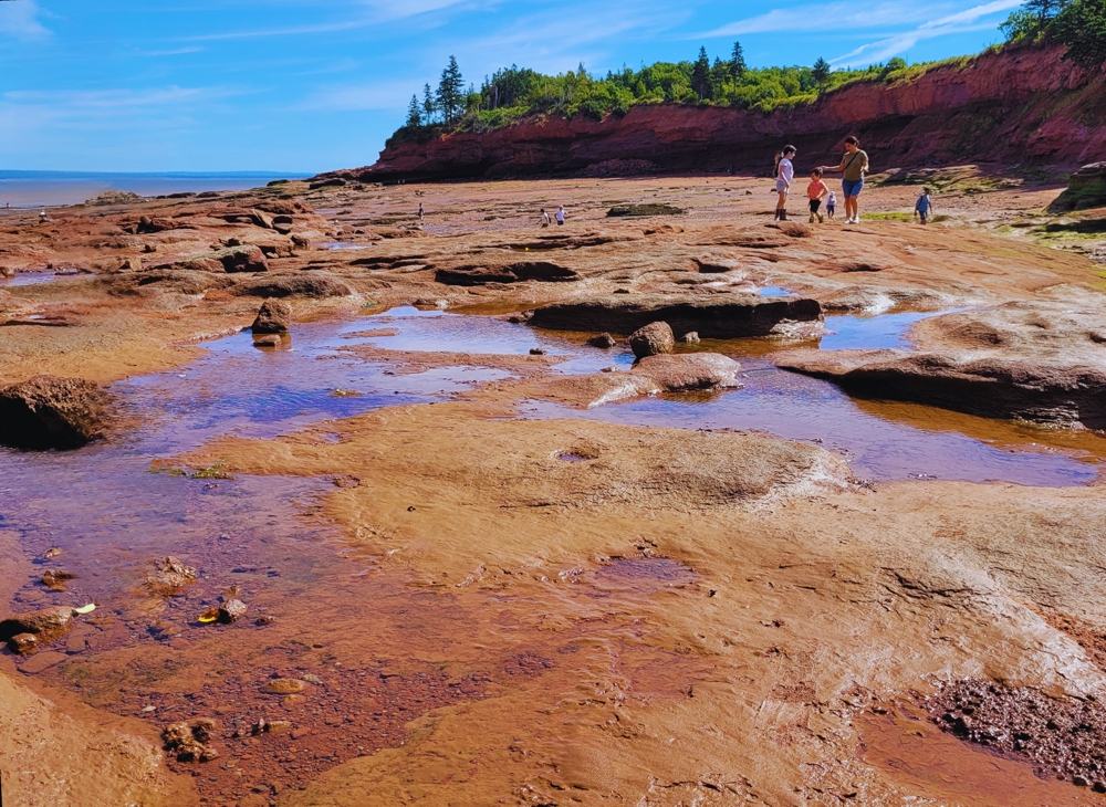 Walking on the ocean floor at Burntcoat Head in the Bay of Fundy, Nova Scotia