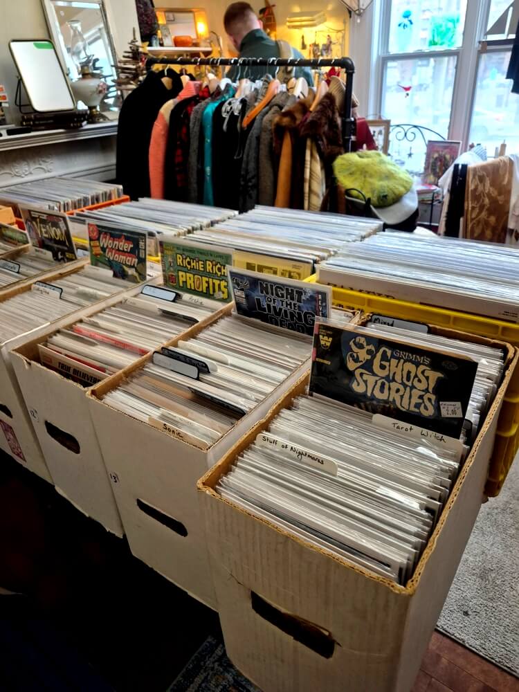 Vintage comics and record bins inside Rainbow’s End Books and Discs in Wolfville, Nova Scotia
